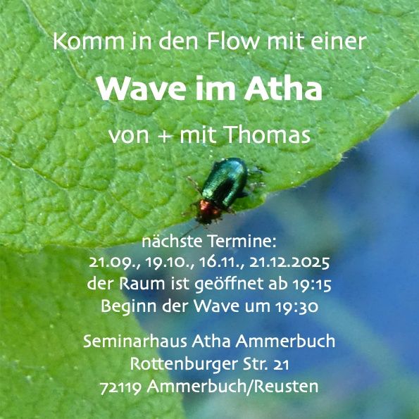 Event image for Wave im Atha Ammerbuch